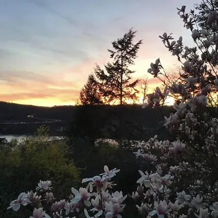Aussichtszimmer Mit Modernem Glasbad Und Balkon Koblenz  Eksteriør billede